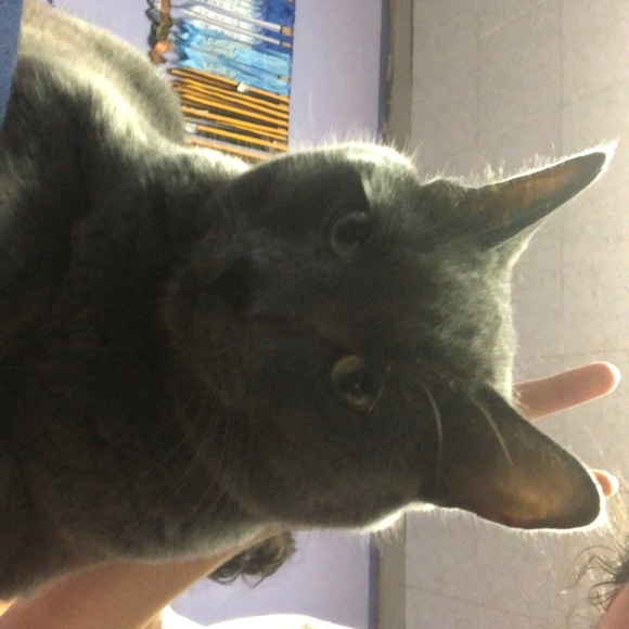 Barfeater - Picture 3 of 3